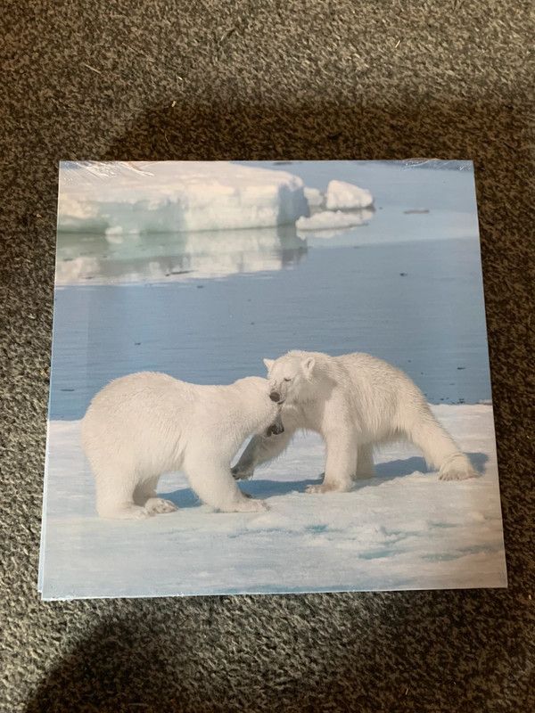 NEW - Photo on canvas