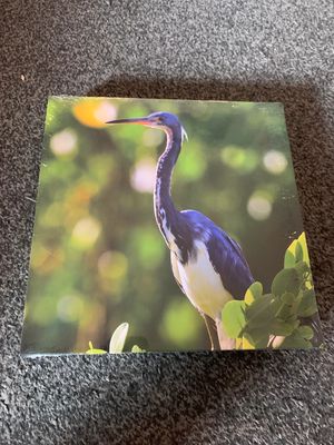 NEW - Photo on canvas