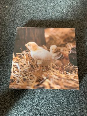 NEW - Photo on canvas