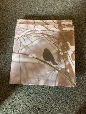 NEW - Photo on canvas