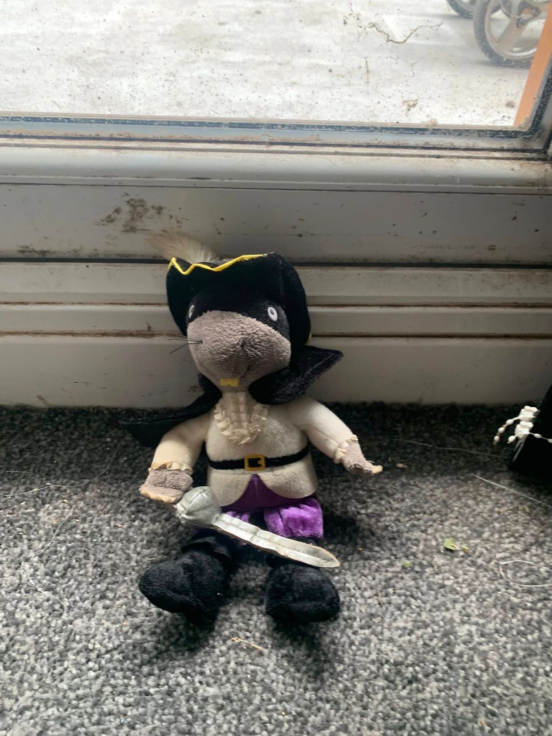 Teddy