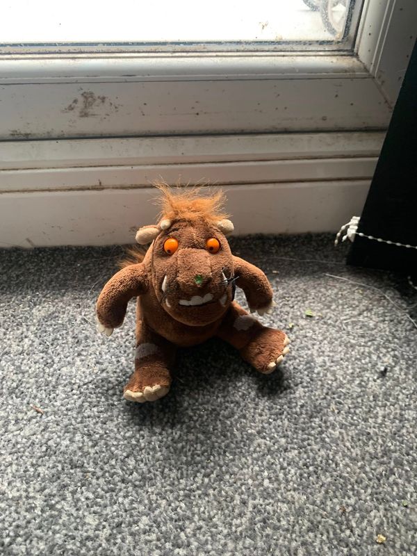 Teddy