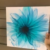 Medium Size Picture