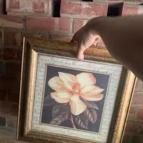 Medium Size Picture
