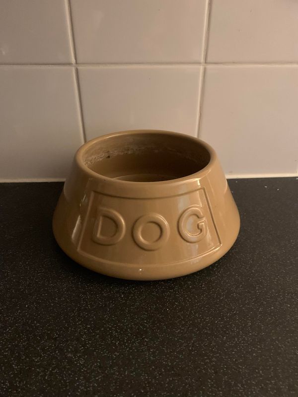 Dogs Bowl