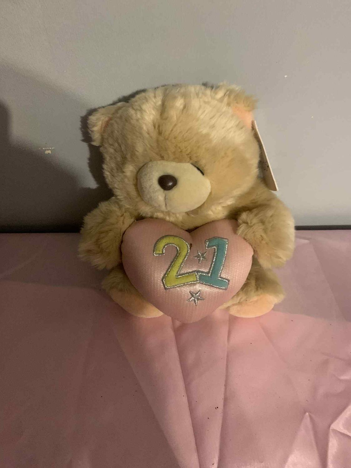 Birthday Teddy - Age 21 Years