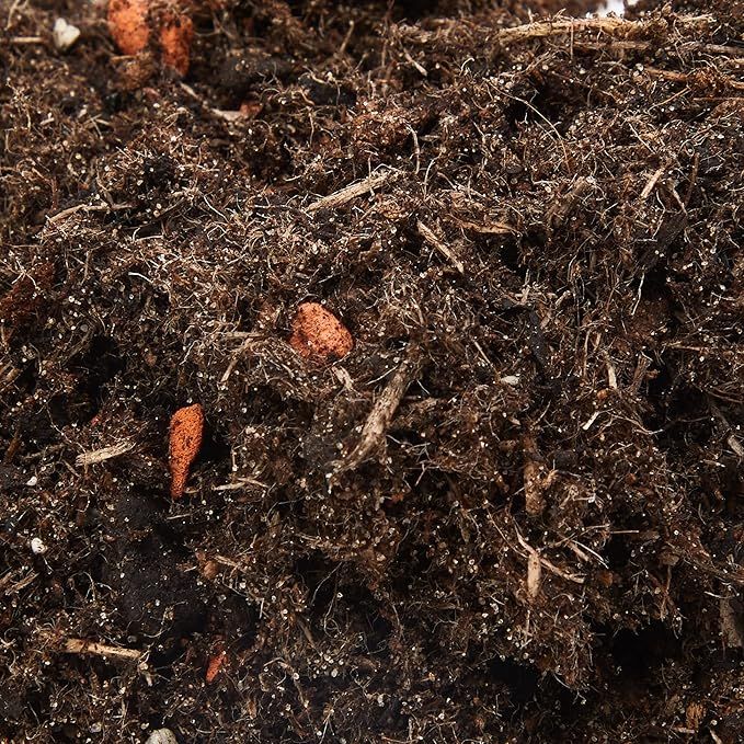 Doff Ant &amp; Crawling Insect Killer Spray – 1 Litre – Ready-to-Use Insect Killer Insecticide – Targets Crawling &amp; Flying Insects - Ants, Cockroaches, Beetles, Flies, Mosquitoes – Indoors &amp; Outdoors