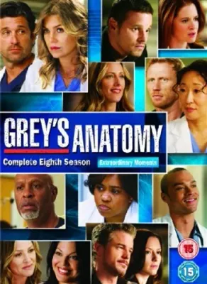 Grey's Anatomy Season 14 (15) 6 DVD