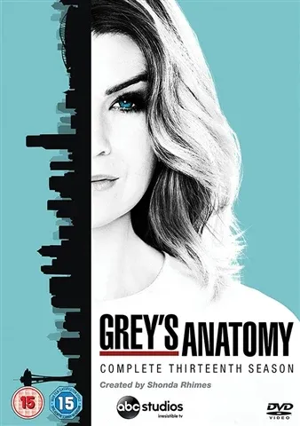 Grey's Anatomy - Season 13 (6 Disc)