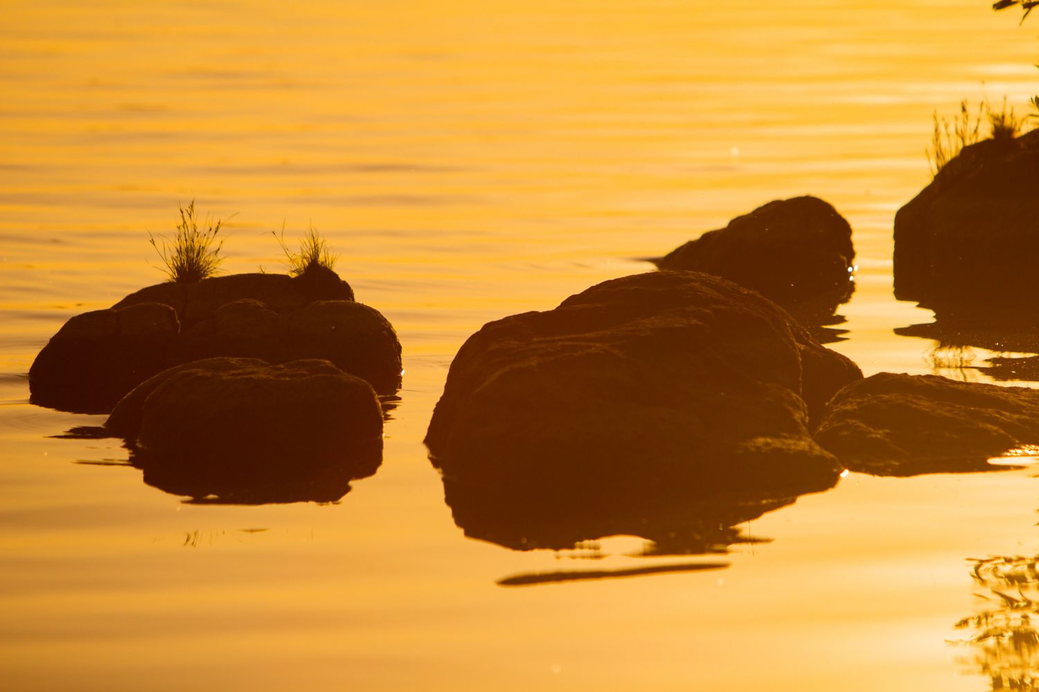Avondroutine voor Reflectie en Loslaten