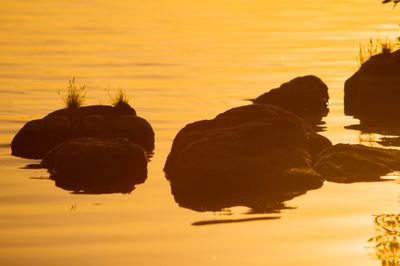 Avondroutine voor Reflectie en Loslaten