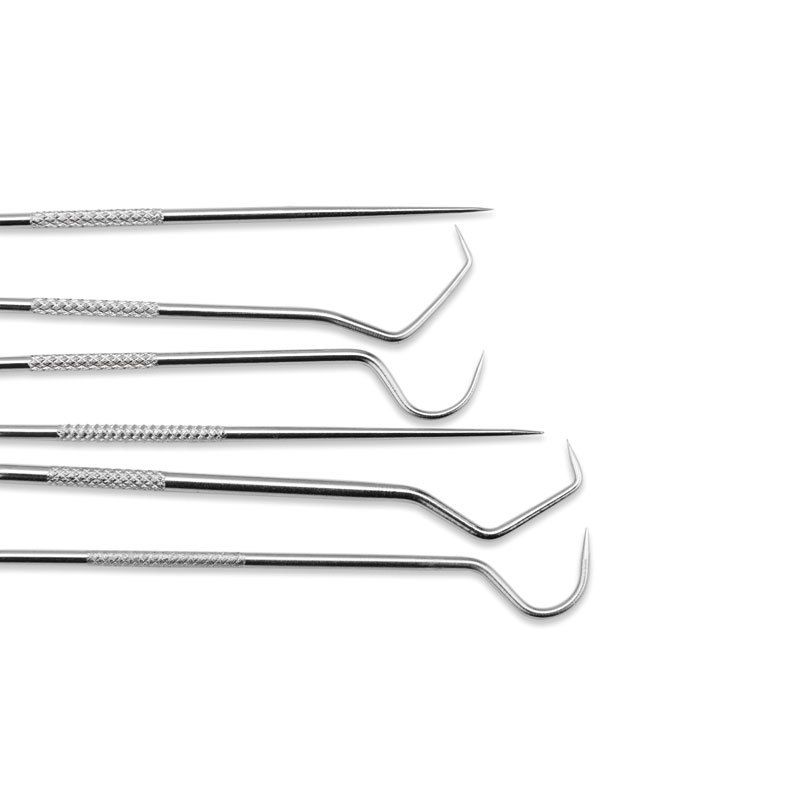 STAINLESS TEETH