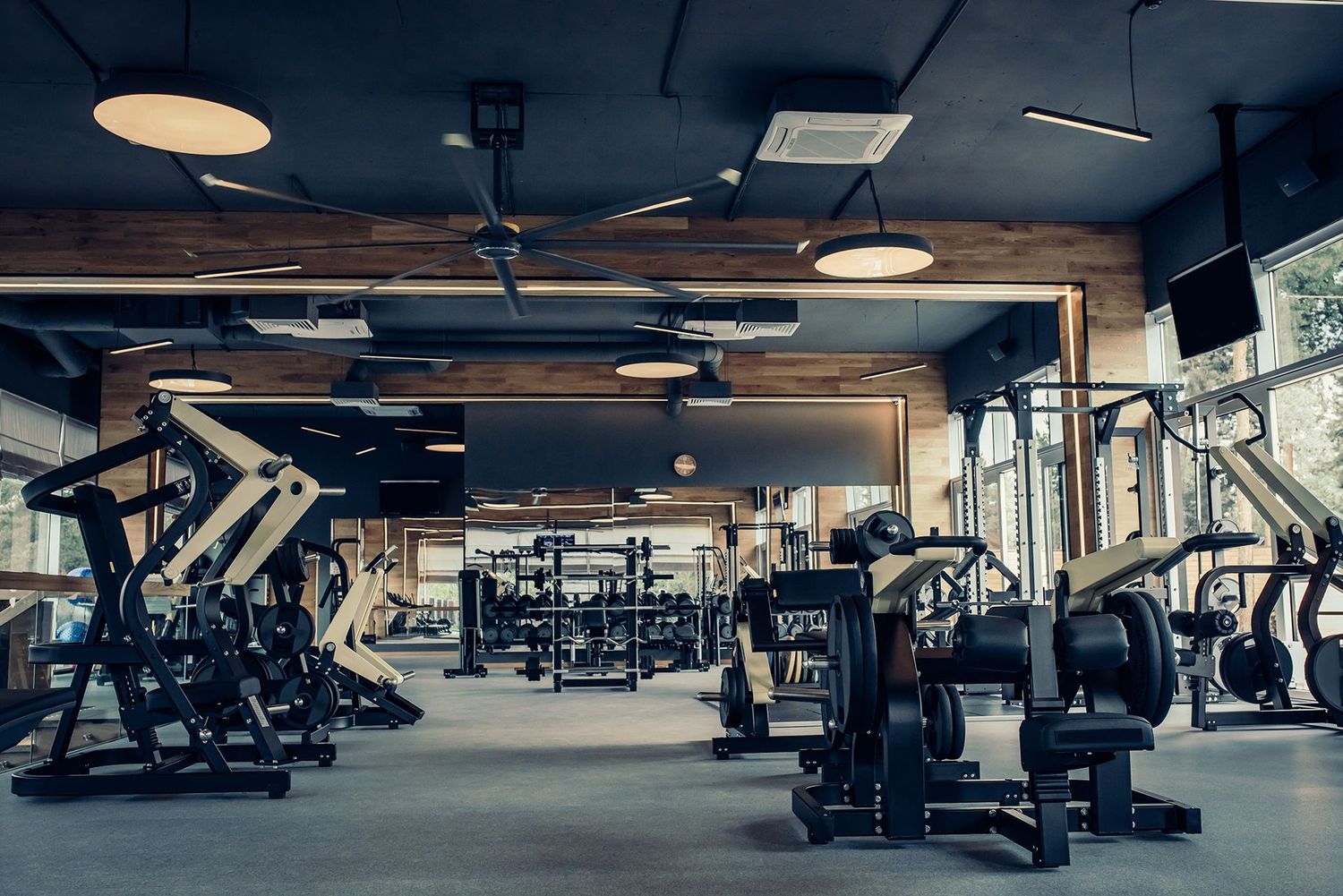 Custom in Office/Home Gym Setups