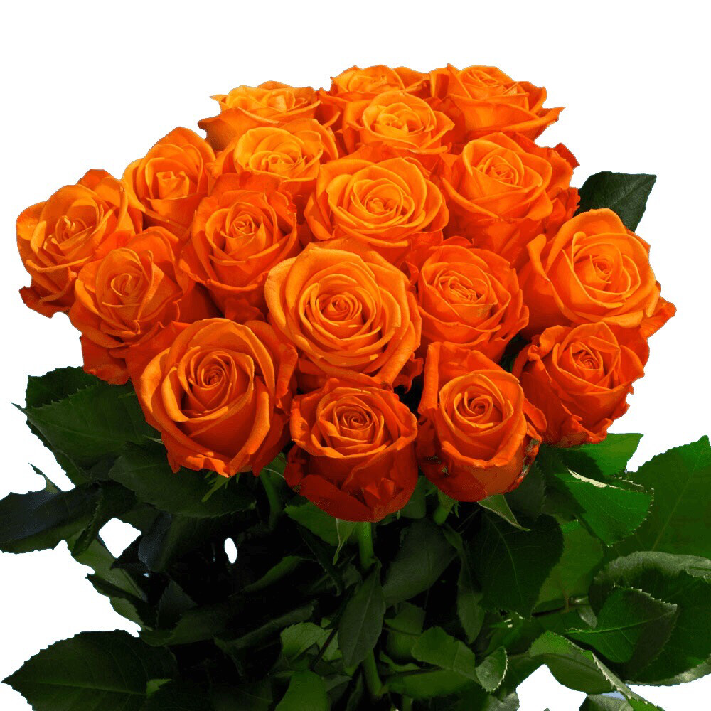Букет из 13 роз "Оранж краш" высотой 70 см/Н