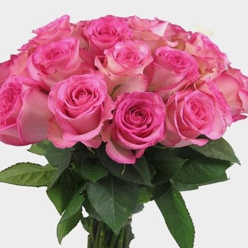 Букет из роз "Свит юник" 60 см высотой