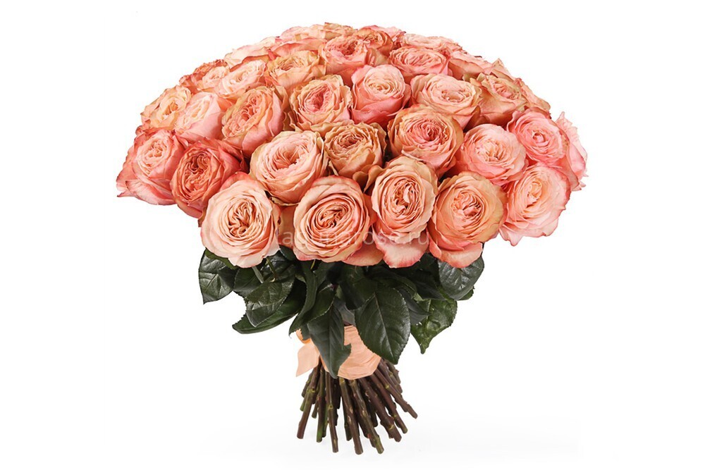 Букет из роз "Кахала" 50 см высотой