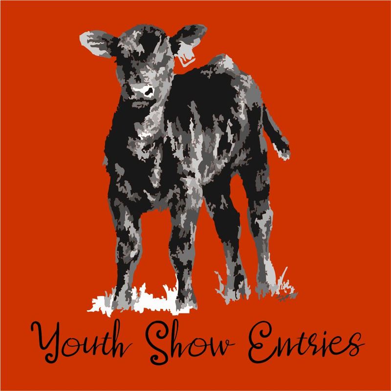 Young Show Entries