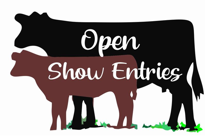 OPEN Show Entries