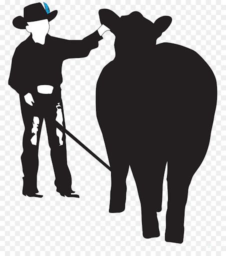 ADULT JACKPOT SHOWMANSHIP