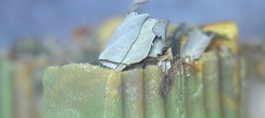 Driftwood Vanilla Tallow Soap