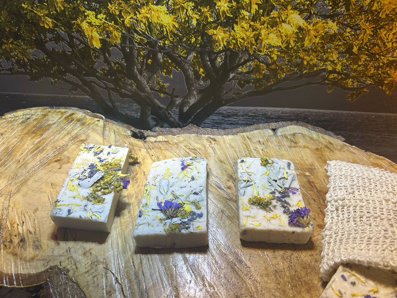 VEGAN SHAMPOO AND CONDITIONER BARS