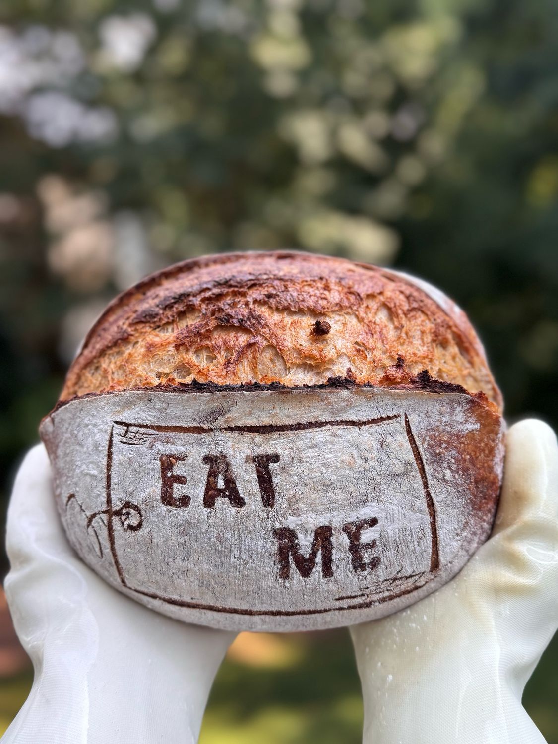 Whole Wheat Sourdough Bread