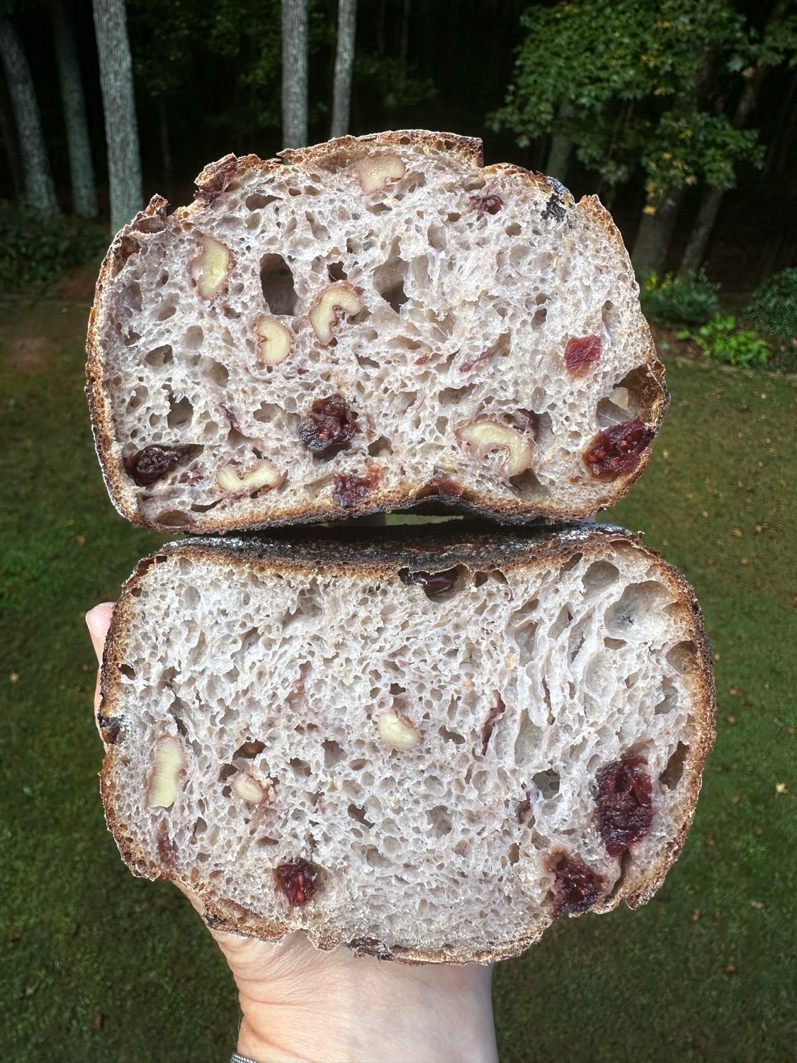 Cranberry Walnut Sourdough Organic Bread