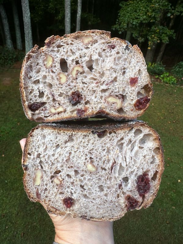 Cranberry Walnut Sourdough Organic Bread