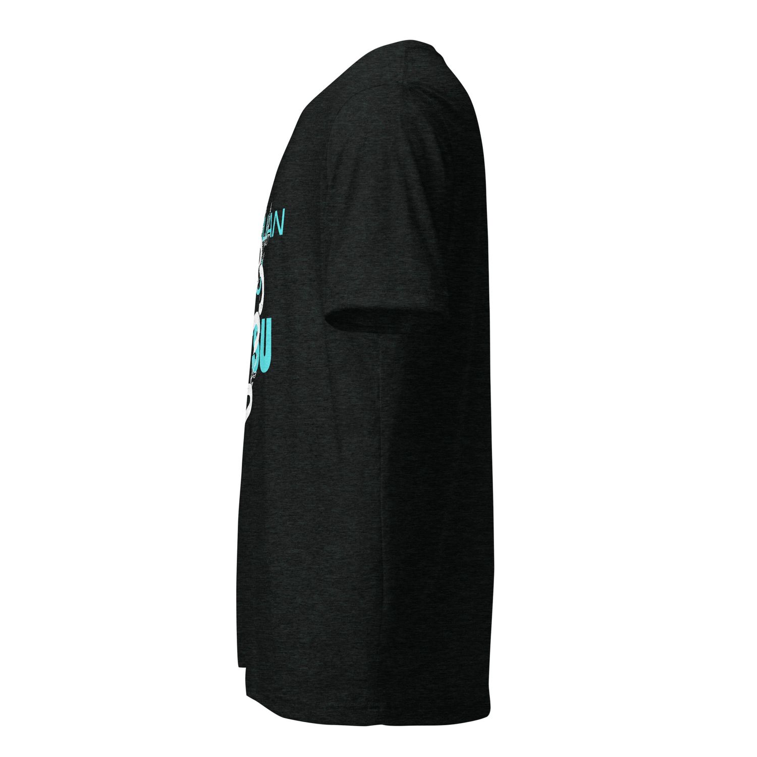 Brazilian Jiu Jitsu Teal Snake
