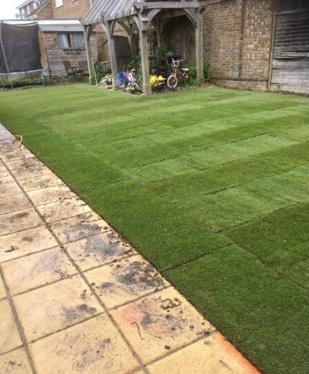 Family Lawn Turf  -  FROM £3.26 per m²