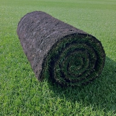 Supreme Turf  - FROM £3.47 per m² NW-Turf-Dlx