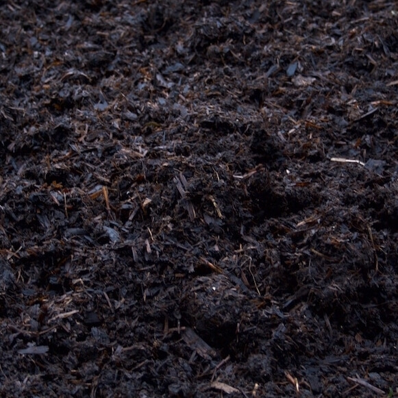 Composted Horse Manure