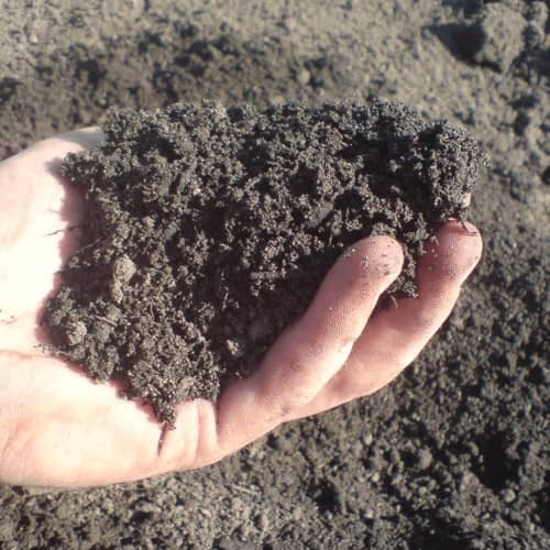 Topsoil Bulk Bag Manure & Compost direct at The Compost Shop.