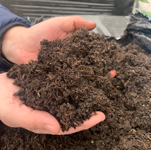 Peat Free All Purpose Compost