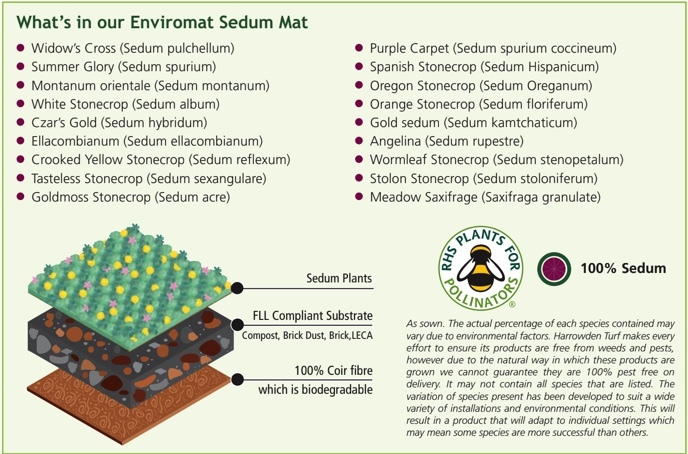 Sedum Mat HS150