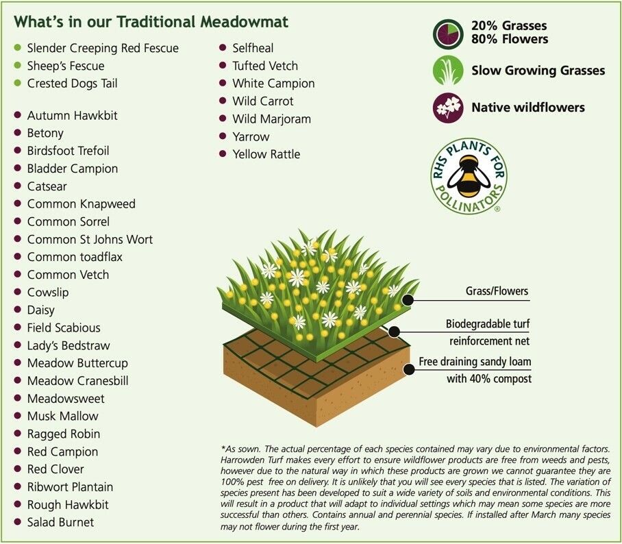 Wild Flower Turf (Traditional) Buy Wildflower Turf from The Compost Shop