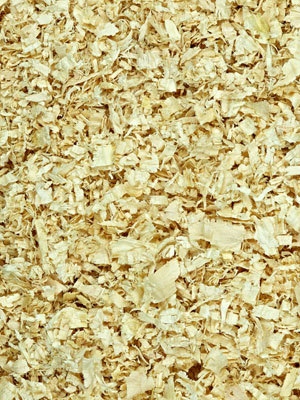 Small Flake - Wood Shavings Small Flake - Wood Shavings