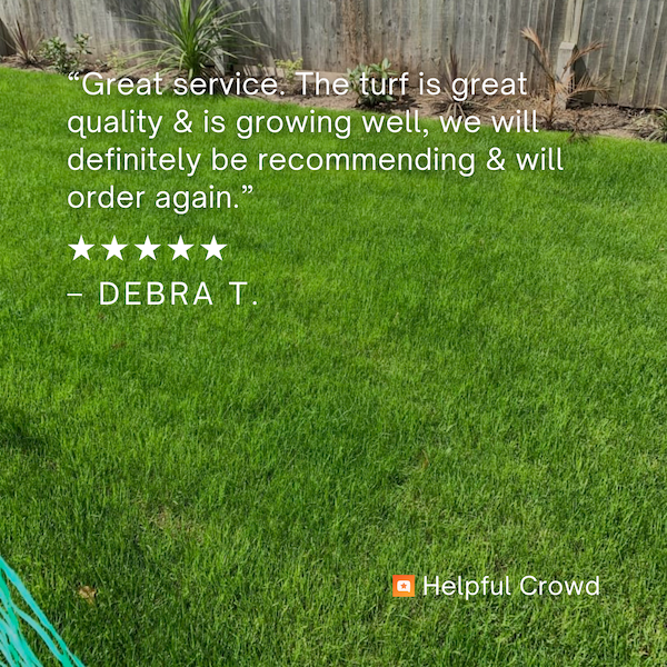 Family Lawn Turf  -  FROM £3.26 per m²