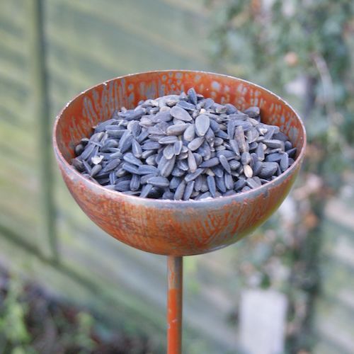 Rustic Bowl Pin Bird Feeder Rustic Bowl Pin Bird Feeder
