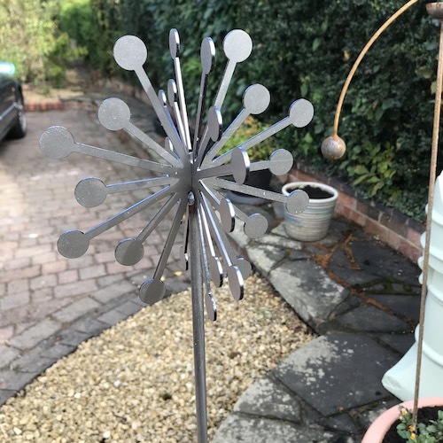 Allium Plant Pin Allium Plant Pin