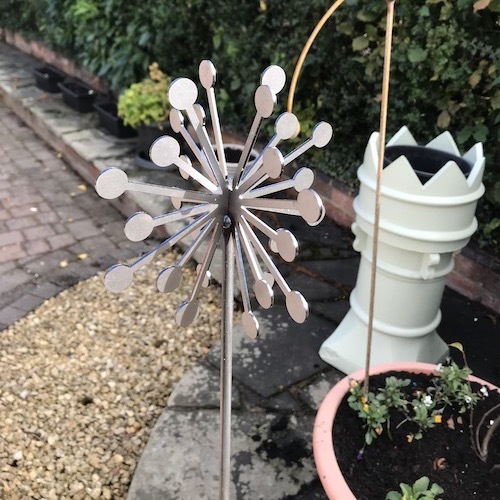 Allium Plant Pin Allium Plant Pin