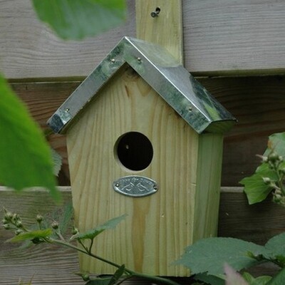 Small Nest Box FSC 100% FF-NKGG-GREENWAX