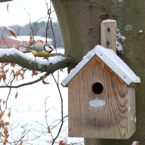 Blue Tit Nest Box FSC 100% Blue Tit Nest Box FSC 100%