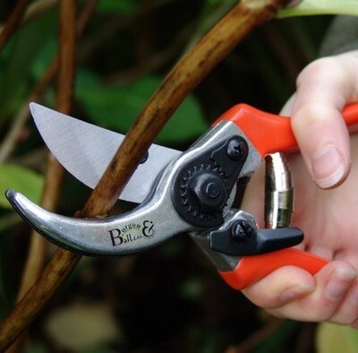RHS Bypass Secateur B&-GTO/SC