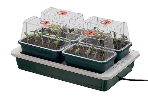 FAB 4 Heated Electric Propagator - With free compost disks!