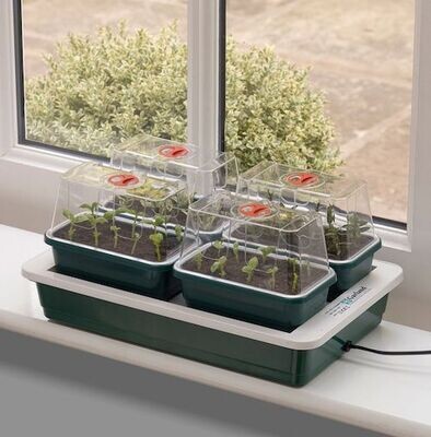 FAB 4 Heated Electric Propagator - With free compost disks! GAR-G125