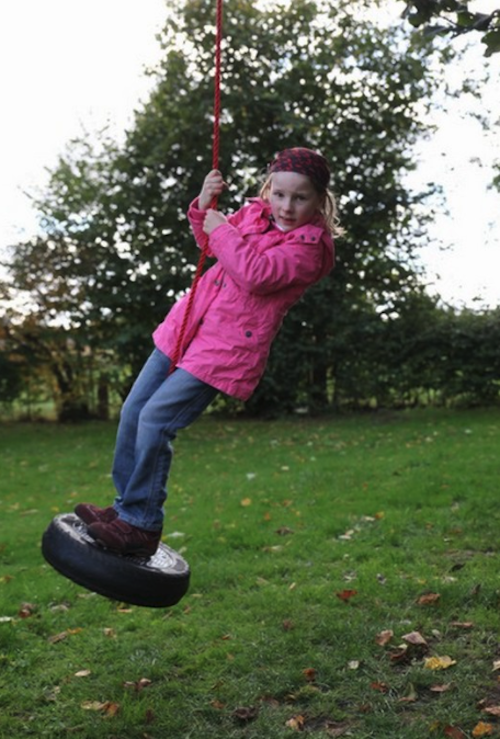 Outdoor Tyre Swing