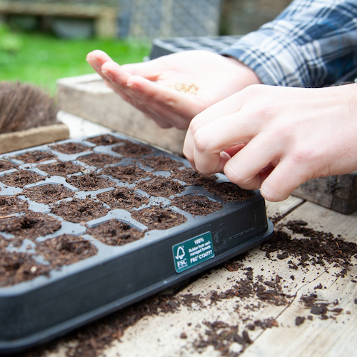 30 Cell Natural Rubber Seed Tray - With FREE Coir Compost! 30 Cell Natural Rubber Seed Tray - With FREE Coir Compost!