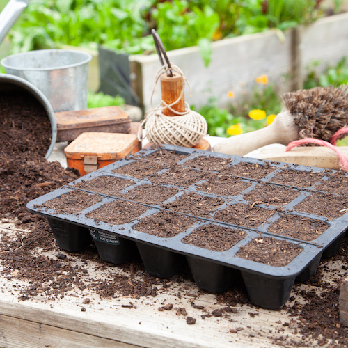 20 Cell Natural Rubber Seed Tray - With FREE Coir Compost! 20 Cell Natural Rubber Seed Tray - With FREE Coir Compost!