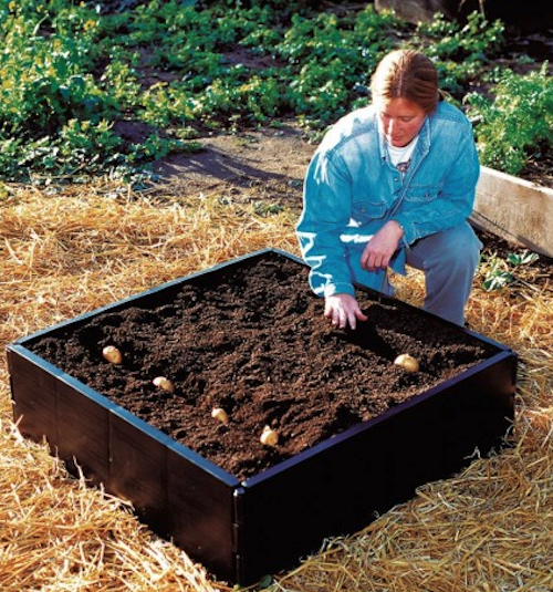 Grow Bed- Raised Vegetable Bed Kit - 230 litre capacity Grow Bed- Raised Vegetable Bed Kit - 230 litre capacity